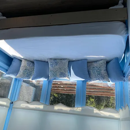 Magnolia