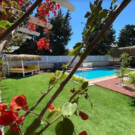 Magnolia 3*